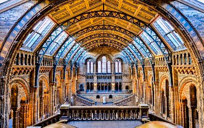Natural History Museum
