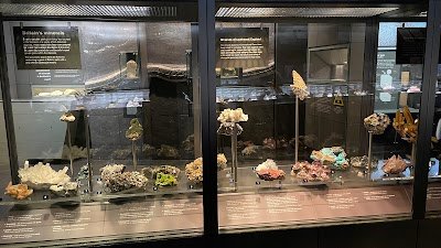 The Natural History Museum Shop