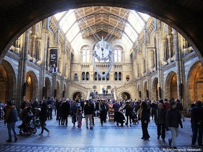 Natural History Museum /Cromwell Road (Stop GM)