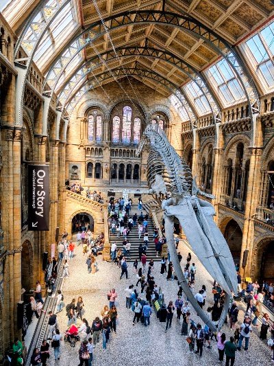 Hintze Hall