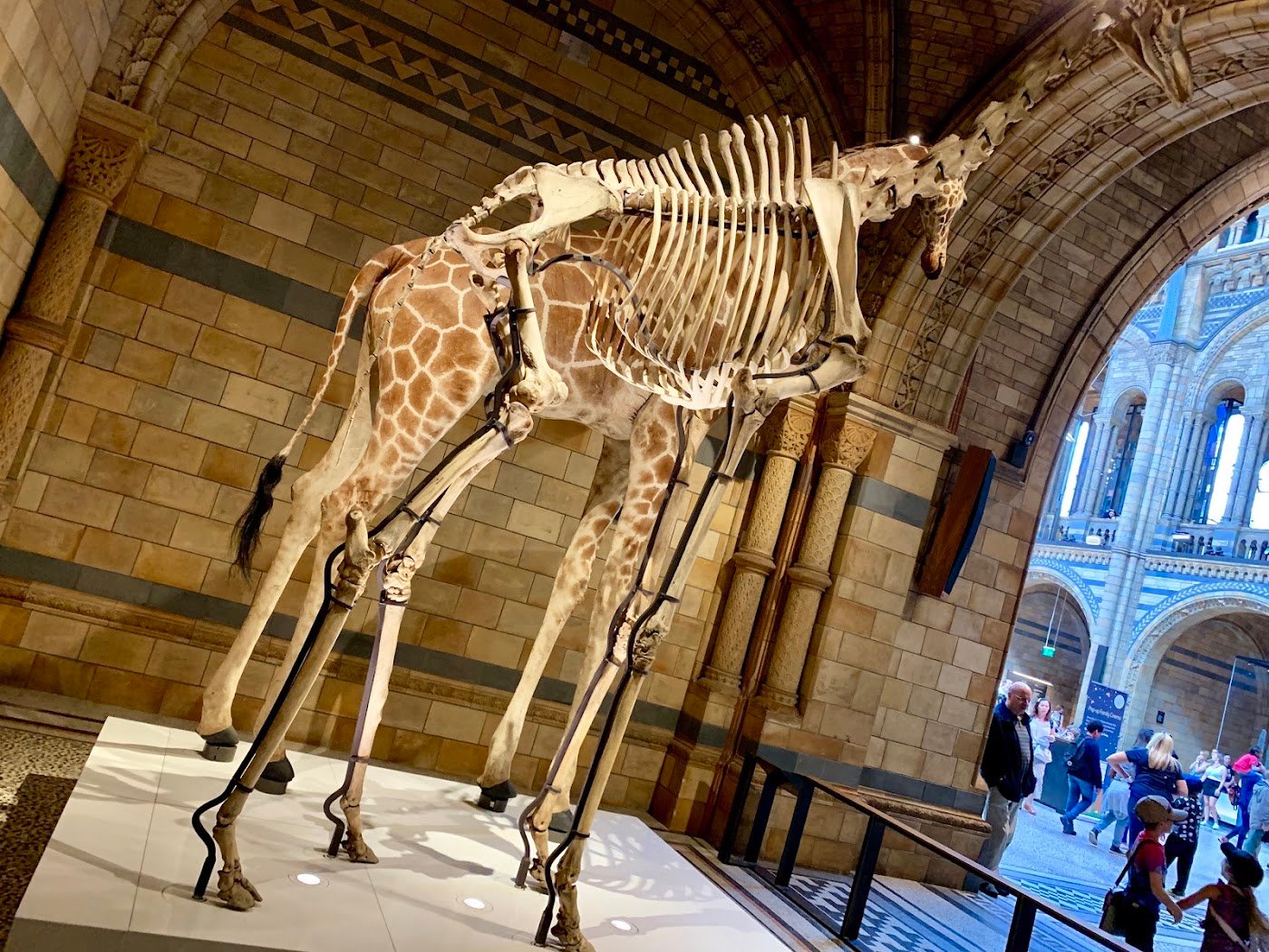 Natural History Museum London