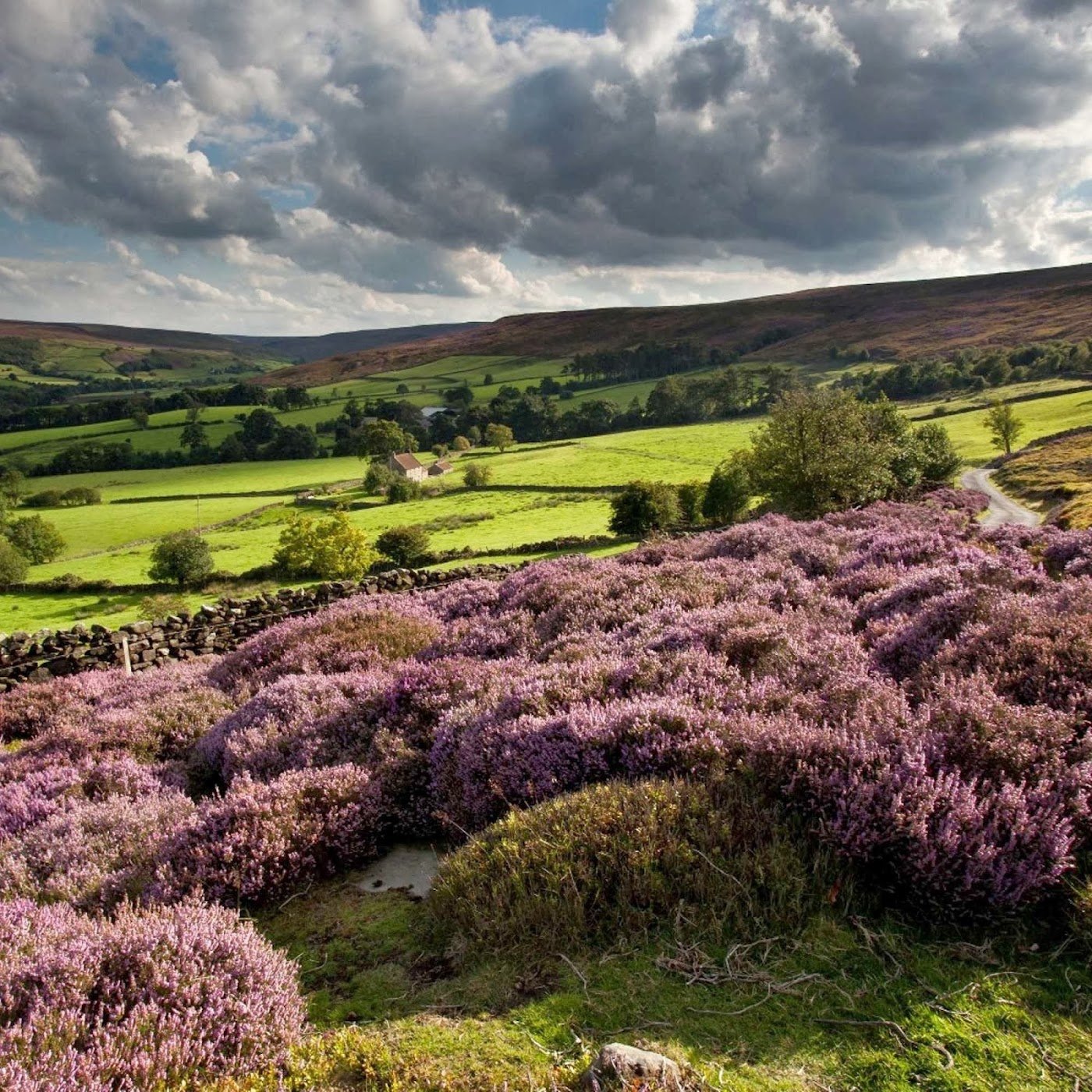 North York Moors National Park