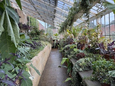 Walled Garden