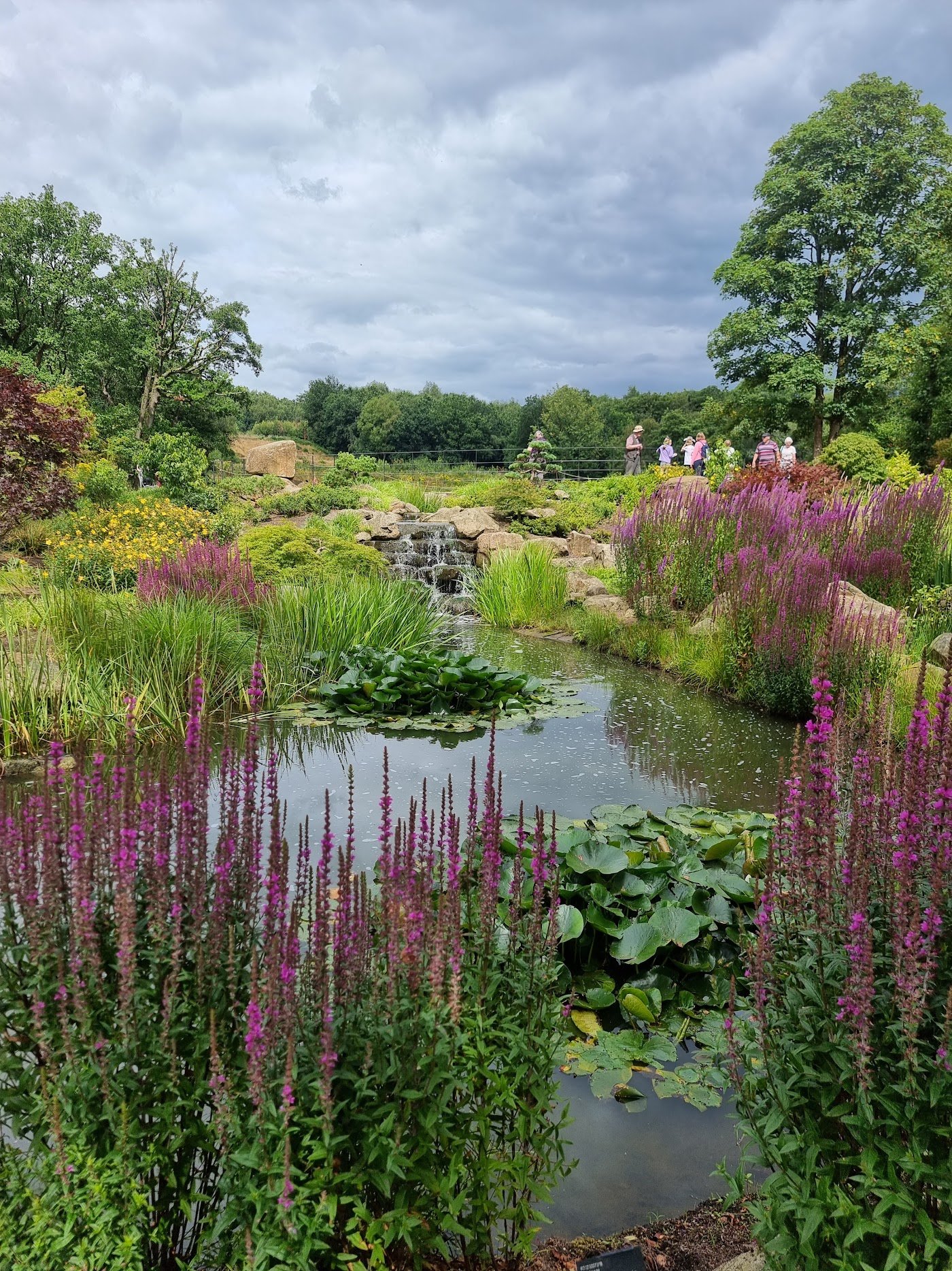 RHS Garden Bridgewater