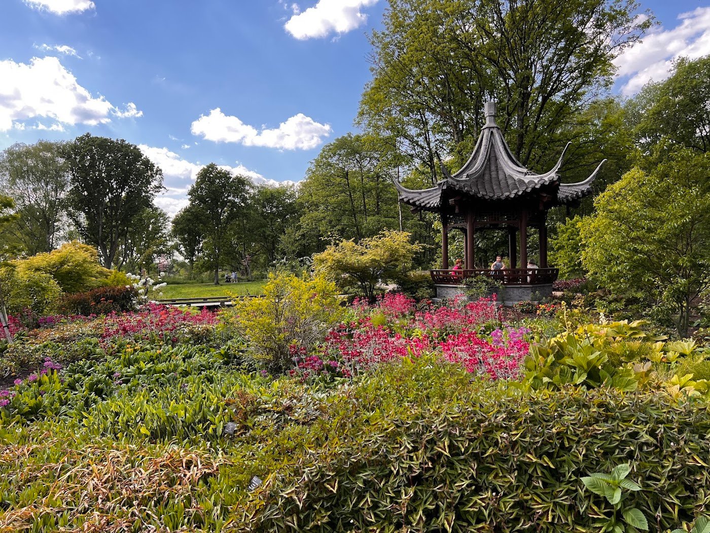 RHS Garden Bridgewater