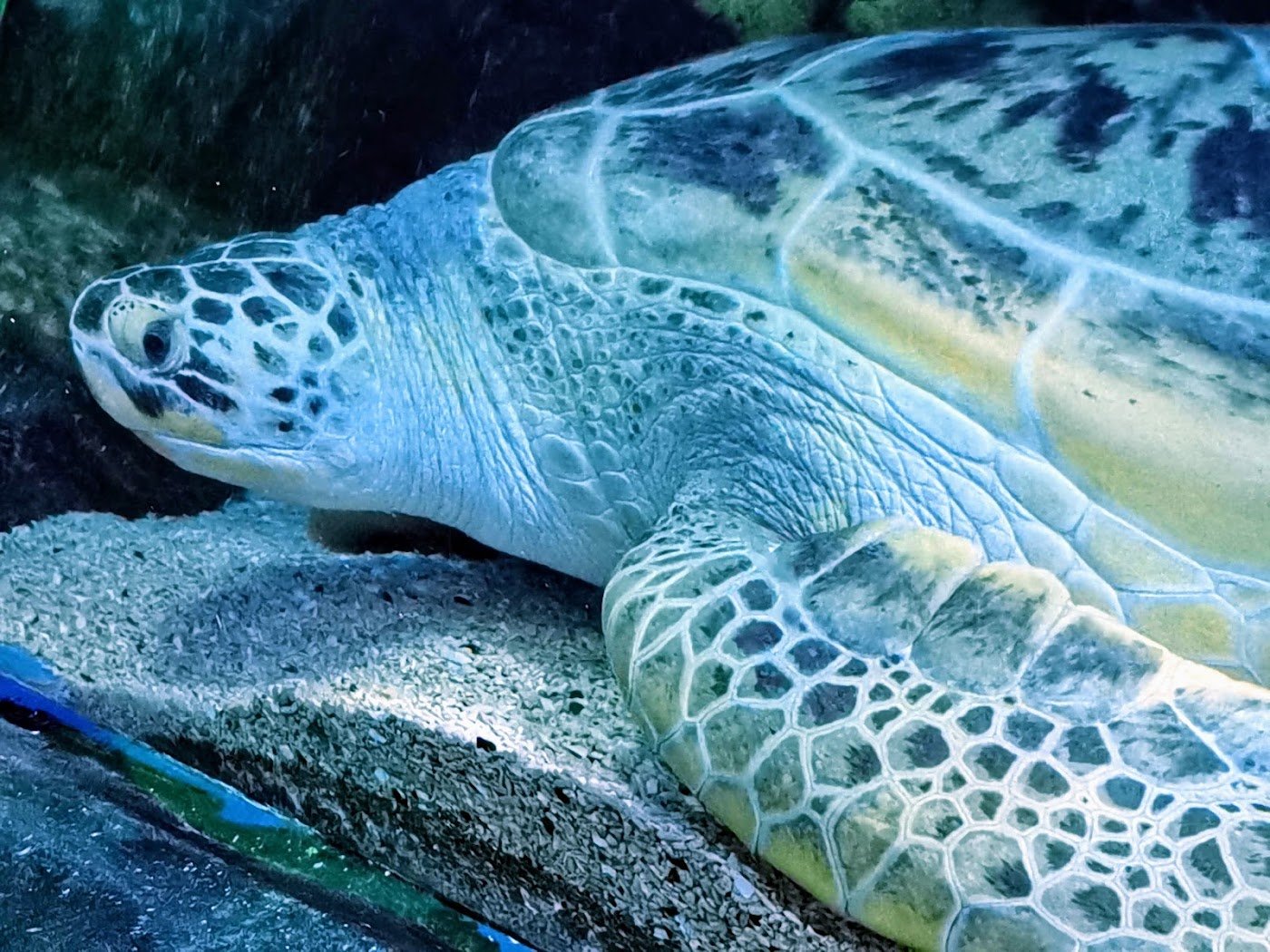 SEA LIFE Birmingham