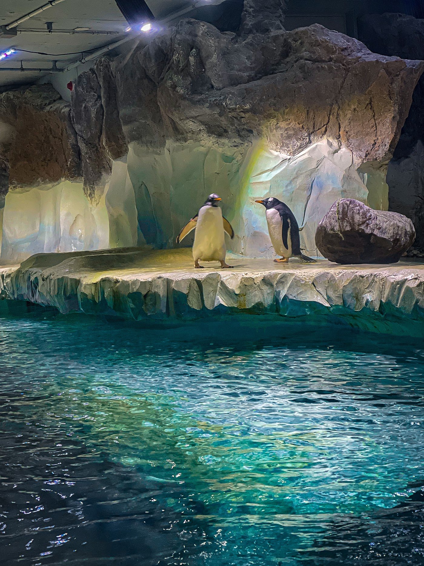 SEA LIFE Birmingham