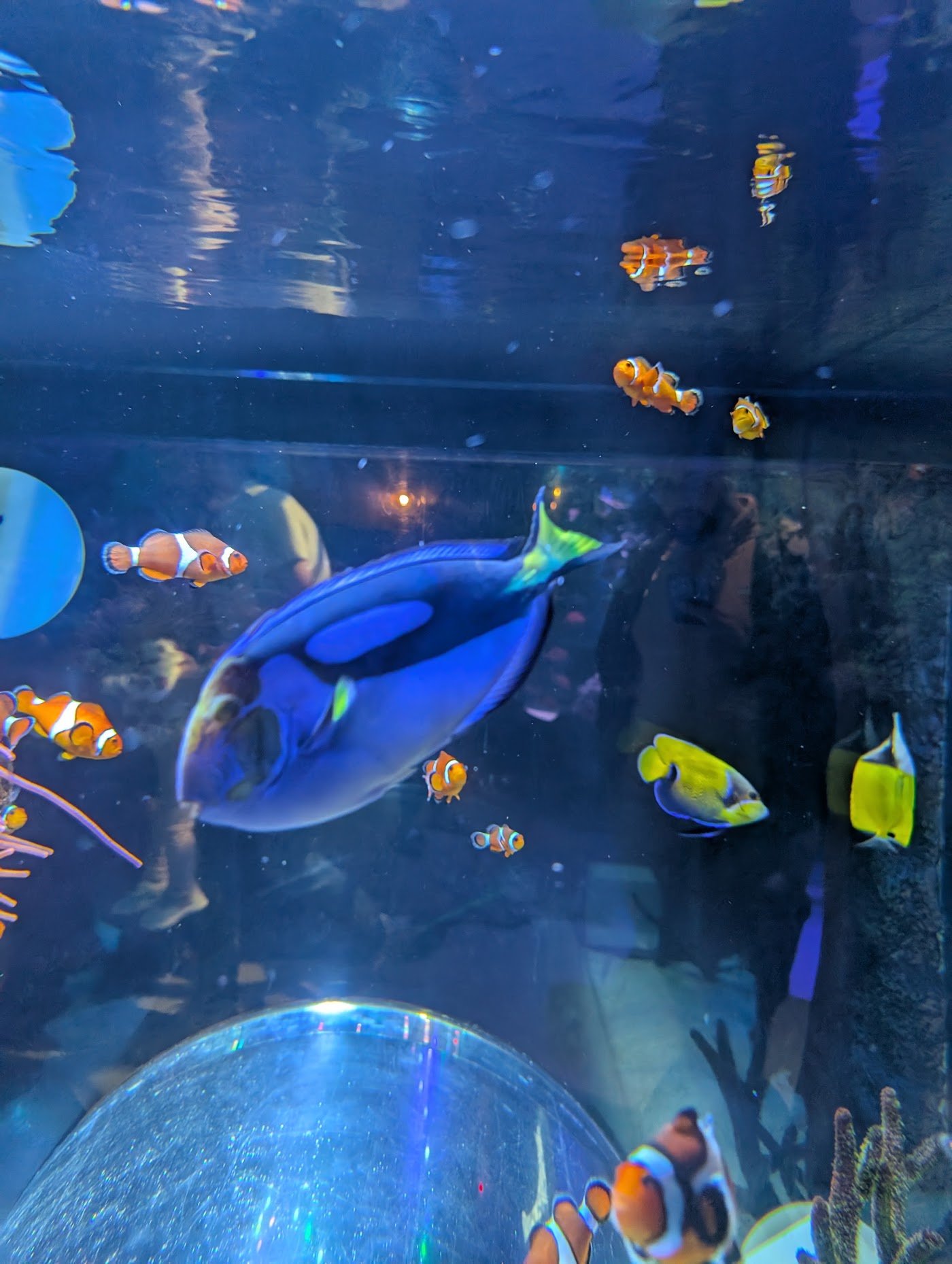 SEA LIFE Manchester