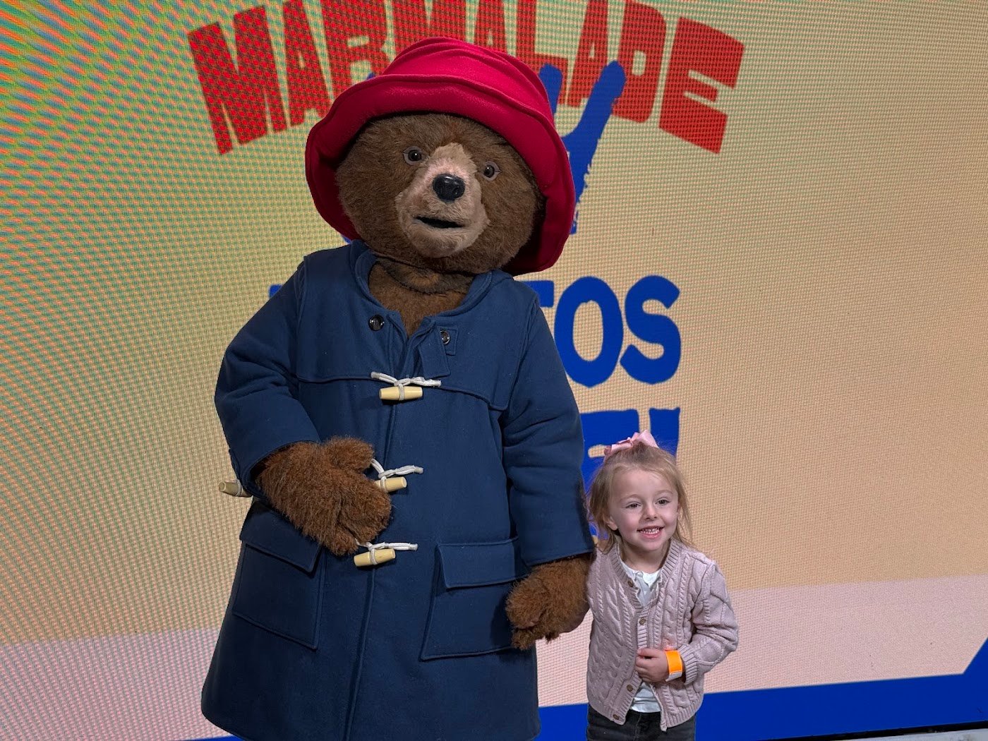 The Paddington Bear™ Experience